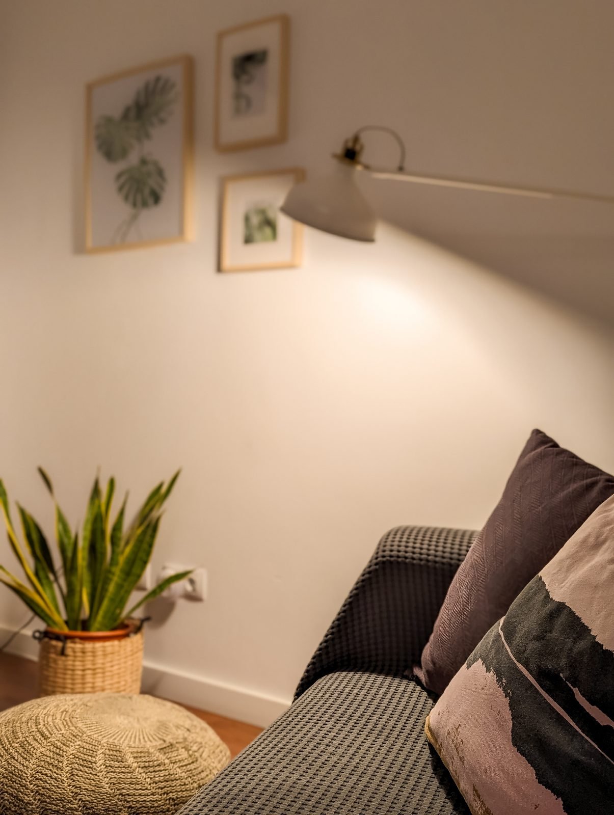 Racó de descans amb planta i coixí